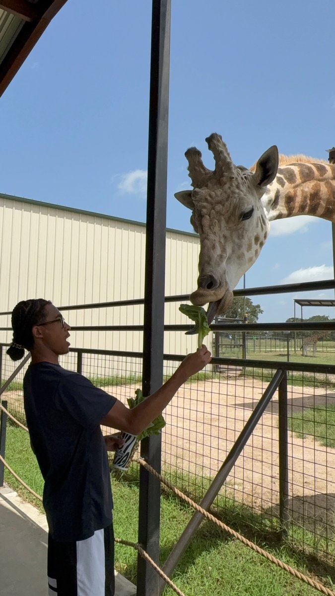 AllNOneSports1's tweet photo. AAU Memories  🙌

✅️ 6'0 G, Shane Young @shaneyoung2027  (2027) took a little break from the AAU action in Bryan to enjoy his giraffe 🦒 

He certainly got to it on the hardwood https://t.co/1x2gWnNOvY