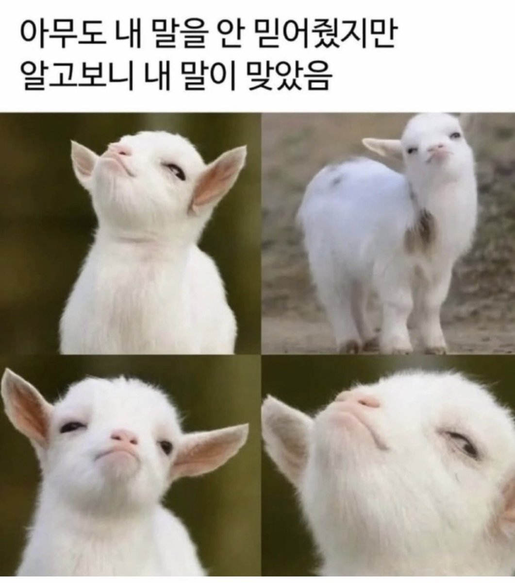 zzalminer's tweet photo. 흥 칫 뿡뿡! https://t.co/4i4tVThx4s