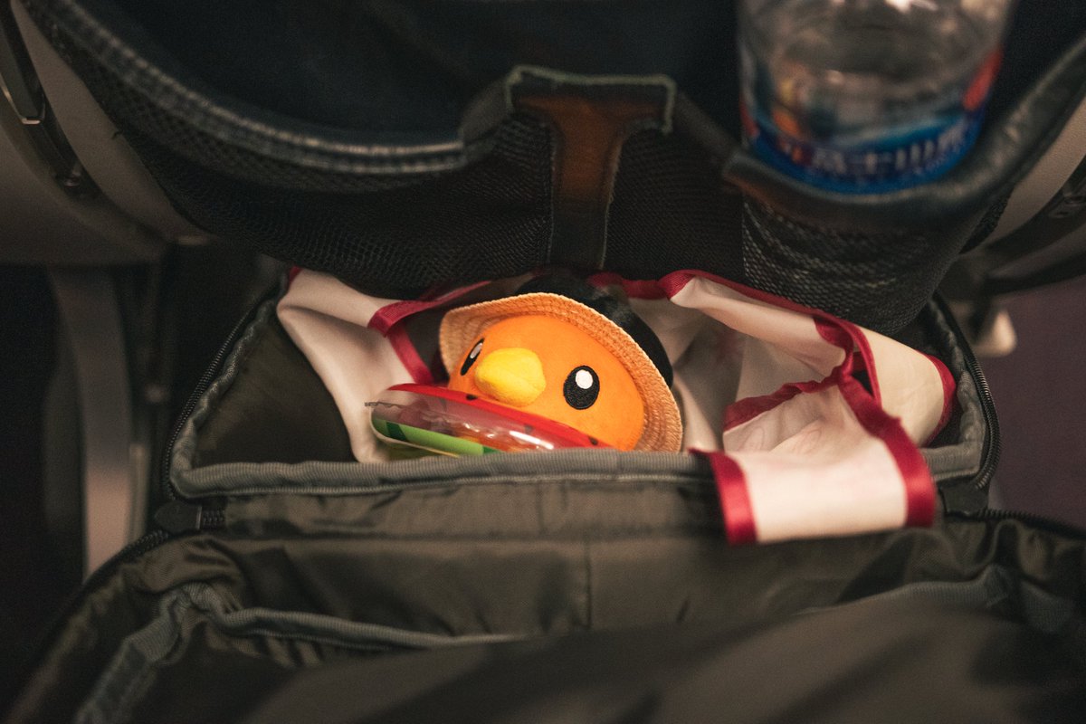LifeisChamo's tweet photo. 飛行機の中では静かにね🐥

#ポケモンfit https://t.co/4coIw9Rhyq