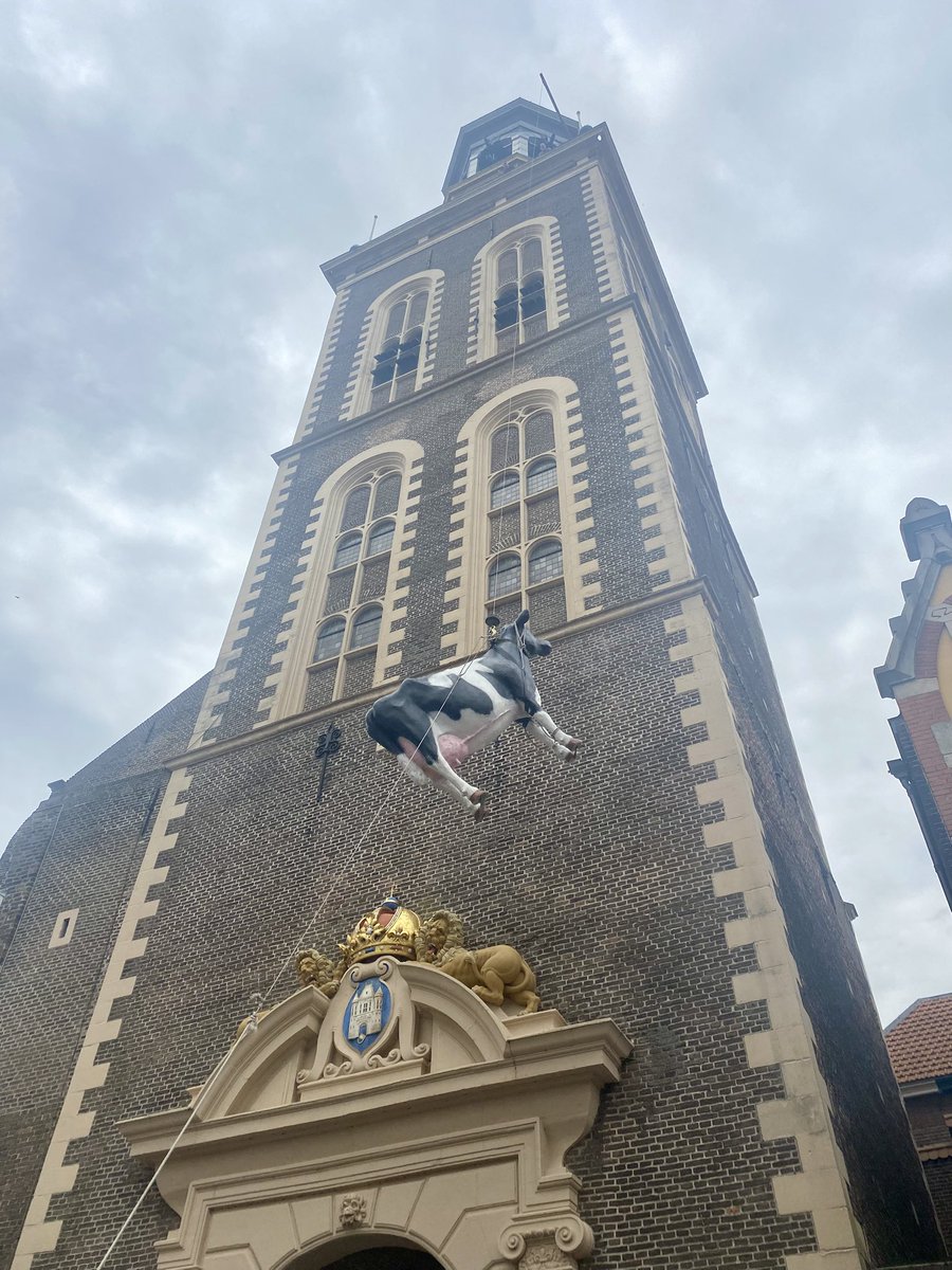 BerberBouma's tweet photo. Afgelopen donderdag, tijdens de eerste Kamper ui(t)dag, werd de koe traditiegetrouw in de Nieuwe Toren gehesen. Mijn gedicht daarover staat vandaag in De Brug. 

@Brugnieuws #Kampen #stadsdichter #stadsdichterkampen #koe https://t.co/SIIQWCQzlW
