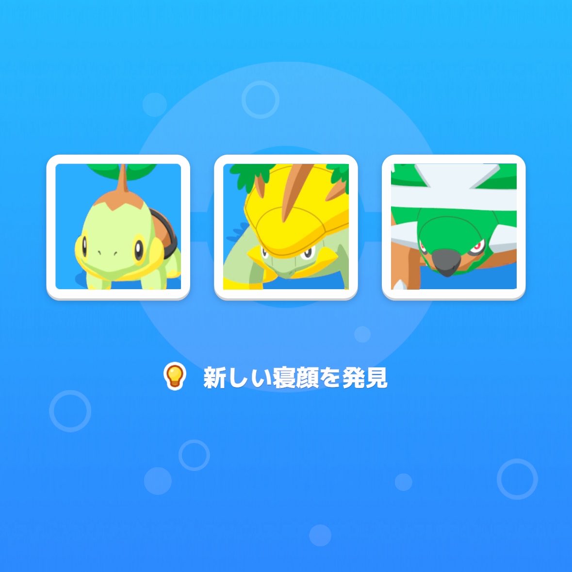 nessundorma75's tweet photo. #ポケスリ3周年をみんなで  
ラピスの草タイプ祭り最高！！
3世代揃って新寝顔🐢　今日のこの寝顔のメンバーでナエトルのアメが50個だったのでお祝いフラワー🟥使ったら…😳

暫定ボックスは自認きのみタイプの脳筋ナエトル✨入れ替わりました💪 https://t.co/C4Jv5TzfA0
