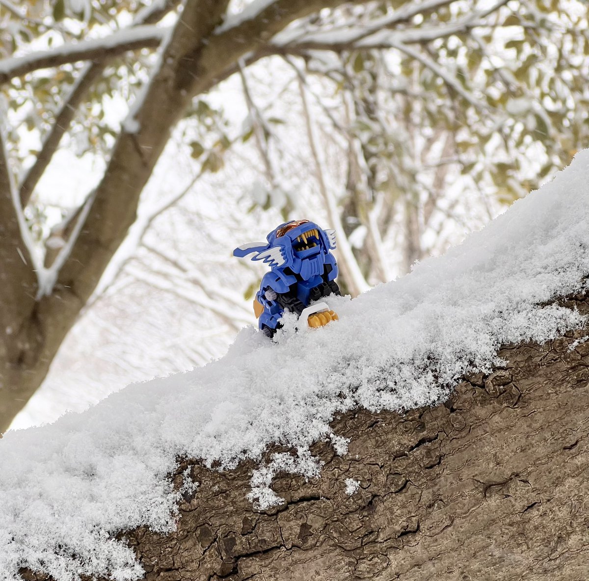 gane_yan's tweet photo. #暑すぎるので雪の画像で涼もう見た人もやる
早く涼しくなんないかなー https://t.co/qYzx8opPPF