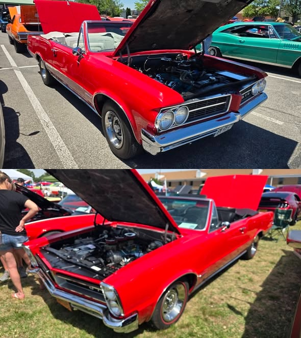 Ellie257981's tweet photo. 1964 or 1965 GTO Convertible? 

Which do  you choose? 🤔 https://t.co/FWticYUddD