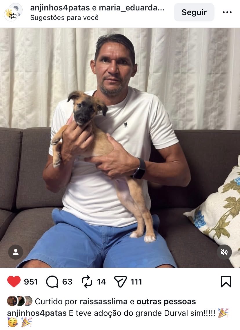 Paulo Paciência tweet media