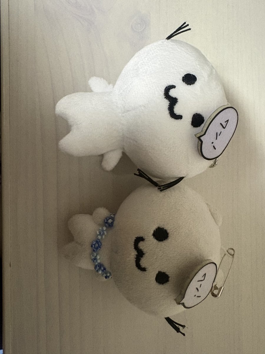 Runcha_0108's tweet photo. @aine_o1o8 私のは新しいのぴったりめだったよ🙆‍♀️めちゃ首輪可愛い🥹💖💖 https://t.co/912QoO4IWH