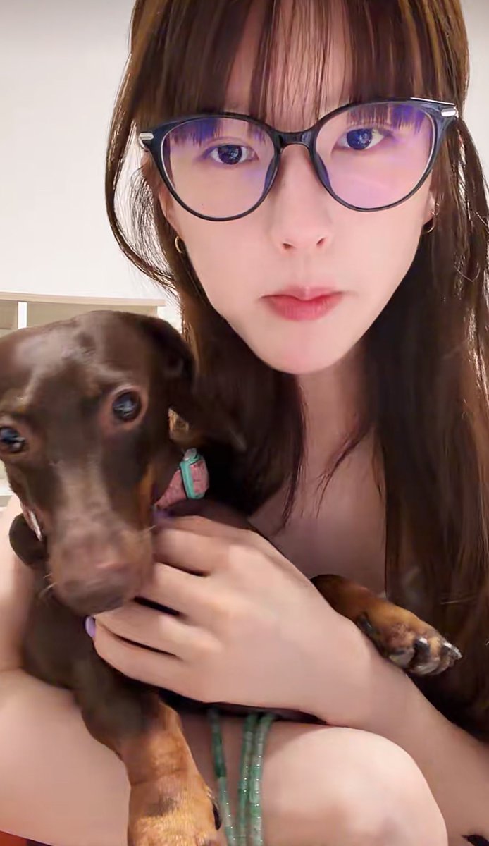 youniebear's tweet photo. this dog is really her baby 🥺🥺🥺🥺🥺 https://t.co/KY3fmmNTjZ