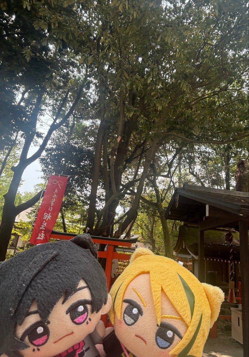 ariarara's tweet photo. おともだちのとこのかわいいこたちもそえて💙🧡 https://t.co/UjRL9a3jIA