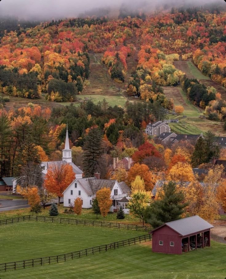 NatureRoot88's tweet photo. Autumn in countryside, Switzerland https://t.co/q6pkBzwTk7