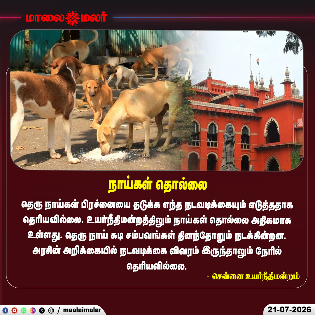 maalaimalar's tweet photo. தெருநாய்கள் தொல்லை
#MadrasHighCourt #StrayDogs #DogBite #TamilNadu #Chennai #CourtObservation #BreakingNews #Maalaimalar https://t.co/TKIuUqcXef