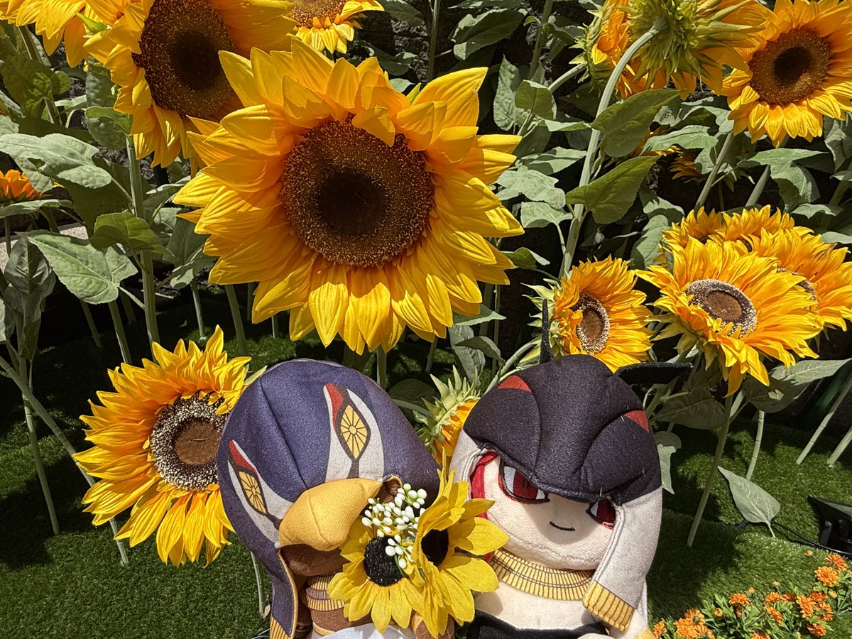 ituKA_1225's tweet photo. 🌻𓅃𓃩🌻
#ENNEAD
#エネアドぬい日記 https://t.co/nhJRmQl3ec
