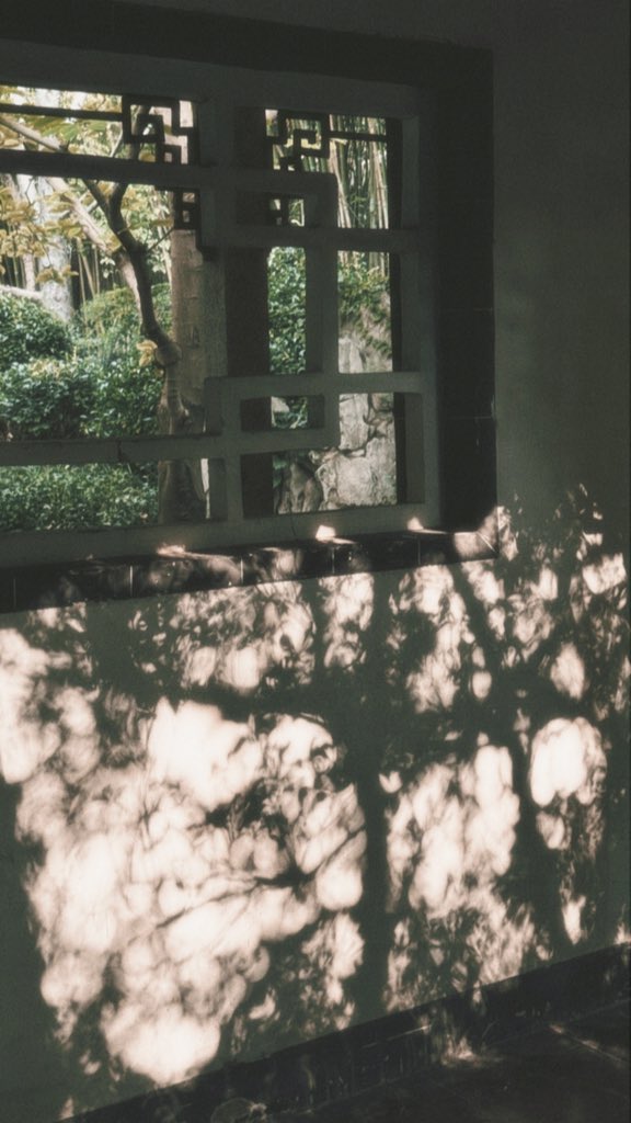 Handy81259423's tweet photo. Light moved quietly through green.

📷 @qqqq_happy 
#QQview
#Photography
#光影 https://t.co/Fh2xVEuFd1