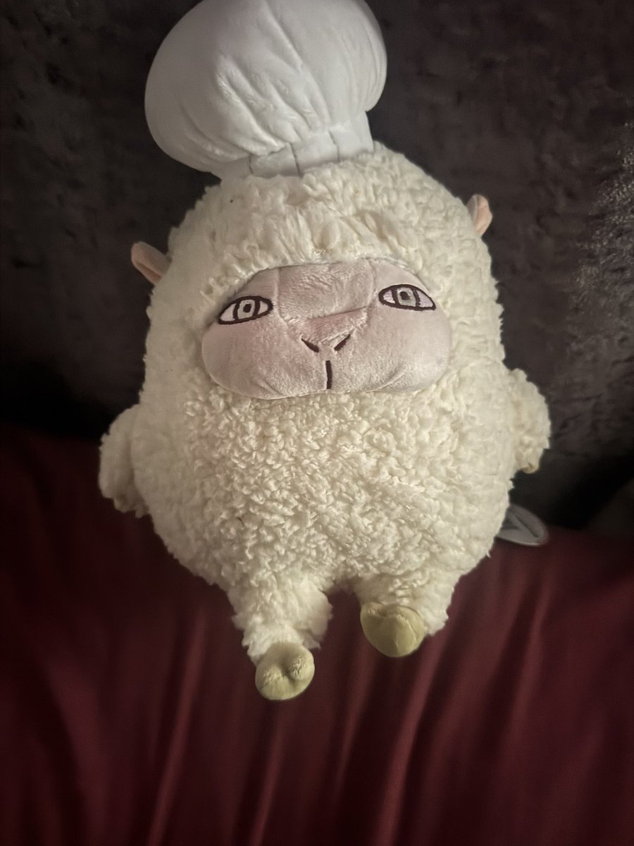 chefcharmy's tweet photo. MY SHEEP COOK HAS ARRIVED 🥹🥹🥹 https://t.co/Os7XSq3Bdy