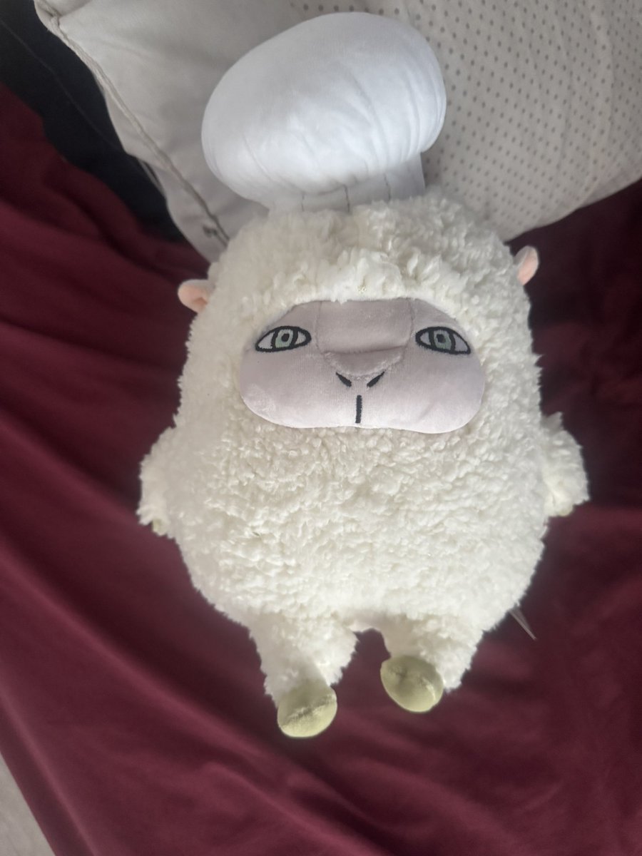 chefcharmy's tweet photo. MY SHEEP COOK HAS ARRIVED 🥹🥹🥹 https://t.co/Os7XSq3Bdy
