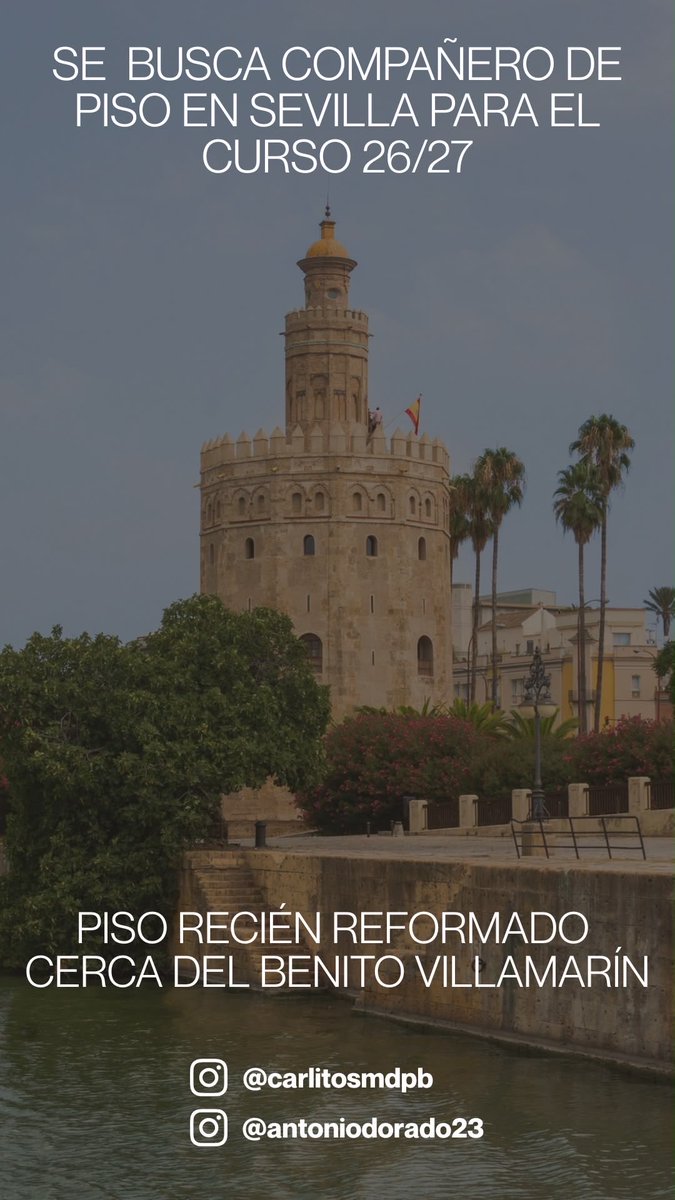 antoniodorado24's tweet photo. Se busca compañero de piso en Sevilla para el curso 26/27 #pisosevilla #sevilla #queydondeestudiar https://t.co/X0tG9PafdV