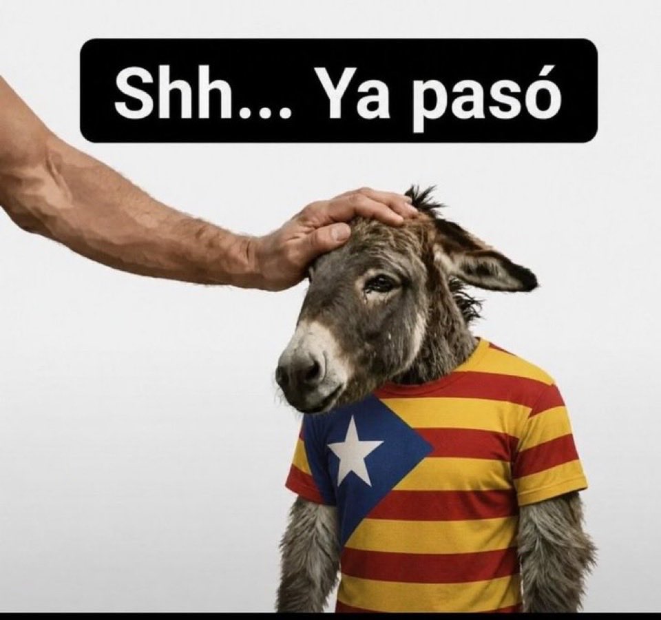 Odin_dBcn's tweet photo. @Scalvini_ @XavierRigall https://t.co/KRHvz02YzS