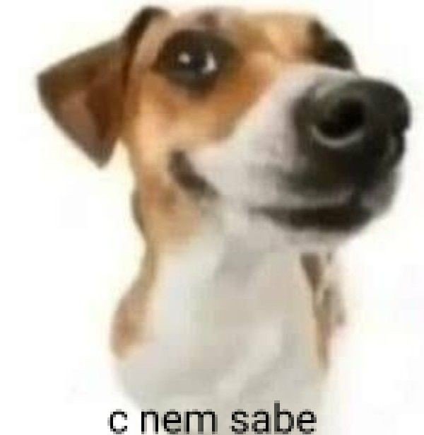 seilabbs123's tweet photo. A Thais formagio  vendo que vai ter que atualizar a aula da Nicarágua https://t.co/Oq6cnQOfoq