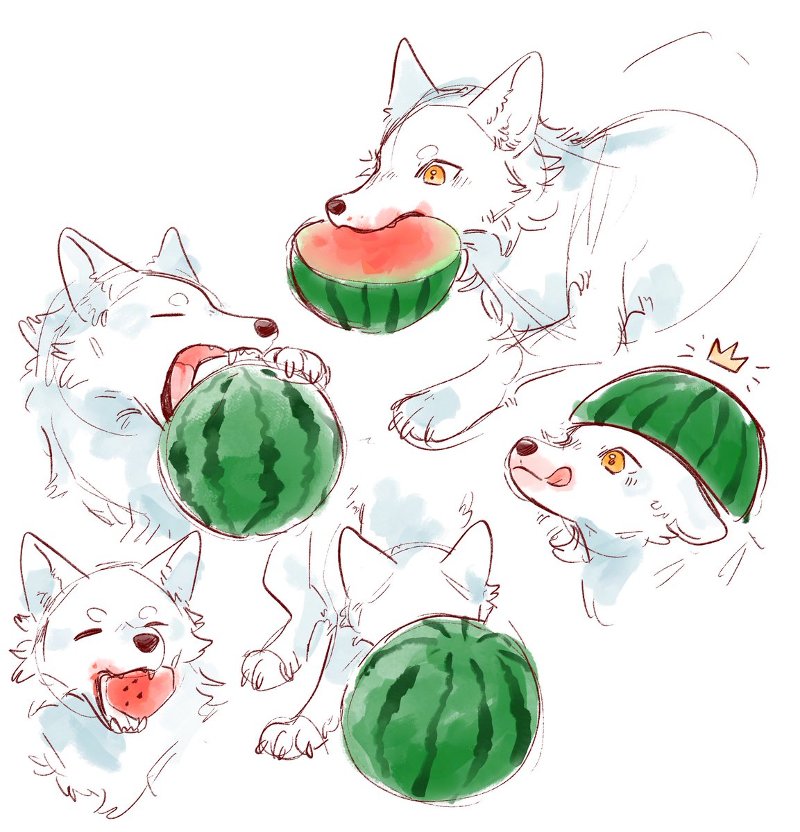 ytkmrs's tweet photo. 🍉🤤 https://t.co/pun5altQPG