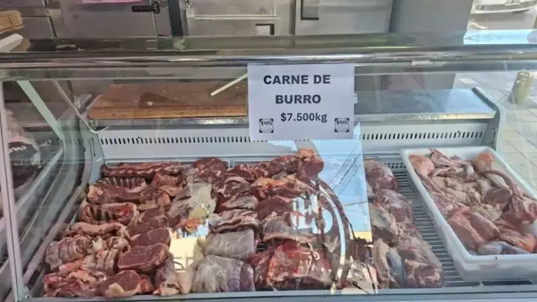 DTOnoticias's tweet photo. @silly_leahh Ya vimos como se unieron y terminaron comiendo carne de burro jajajajajajaja https://t.co/UspW1dEVRN