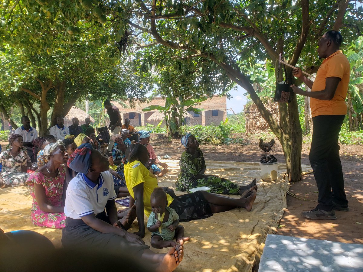 jk_prisca's tweet photo. A lovely day with farmer's field school approach. https://t.co/06IcN8e9Nd