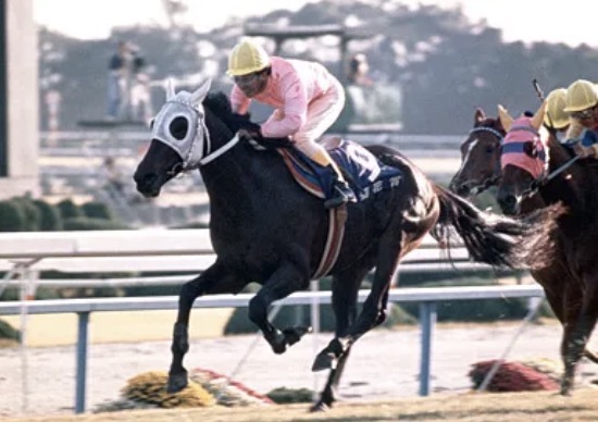 umapairs's tweet photo. Today’s ninth ship is Gold City x Sakura Star O! (Doomed)

Extra: Some say that GoldCity never ran the same way after the Arima Kinen, the same race that Star O's incident happened (from 🌙: Sakura Star O isn’t in Uma Musume.)

#GoldCity #SakuraStarO https://t.co/hvVkompS1B