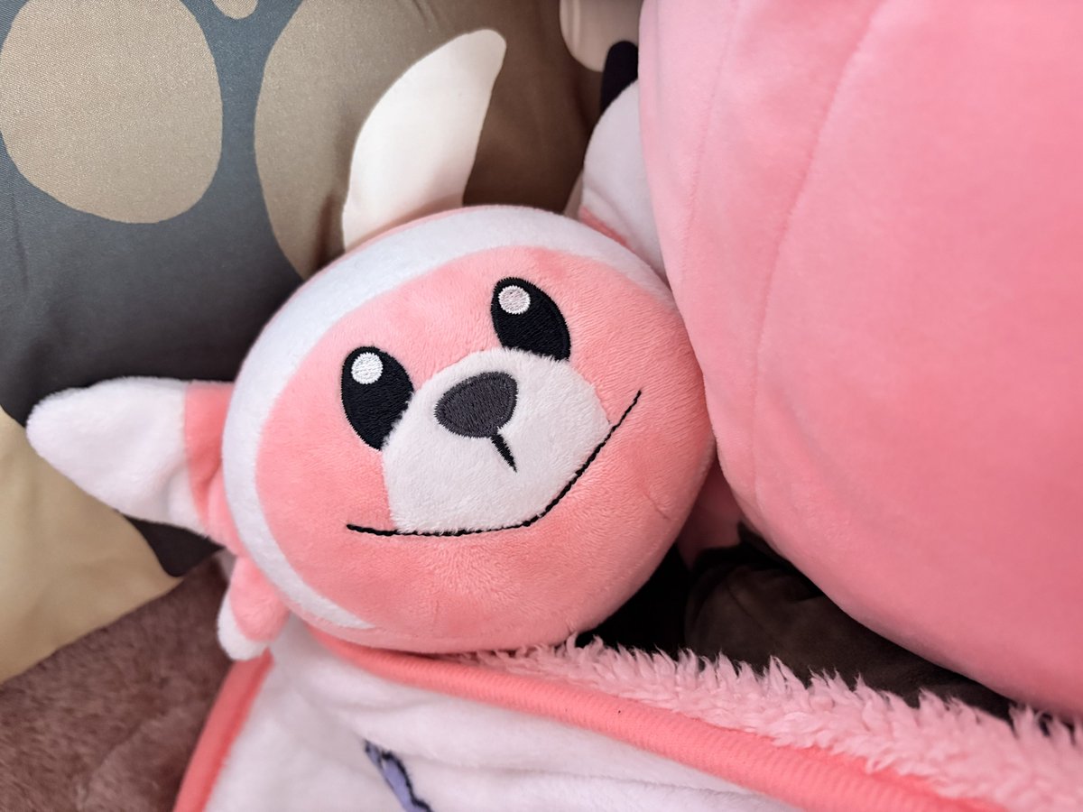 Kiterugumayu's tweet photo. 布団に包まるヌイコグマちゃんかわゆ🥰🥰🥰ただいま🥰 https://t.co/nlz0Ykzpc6