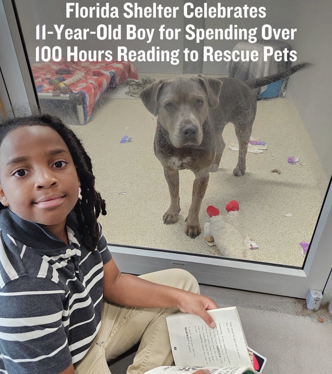 DudespostingWs's tweet photo. 11-year-old Nehemiah Turner spent two years reading to rescue animals at the Jacksonville Humane Society, becoming the first child in the program’s history to reach 100 volunteer hours. Huge W https://t.co/WxVGD92ZY8