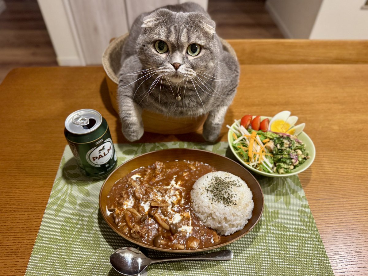 ndTu67XYaawnA2U's tweet photo. ハッシュドビーフと猫達
Hashed Beef with Rice & Cats
#スコティッシュフォールド #ハッシュドビーフ #顔平たい族
#scottishfold #hashedbeefwithrice https://t.co/M6mukQKnnI