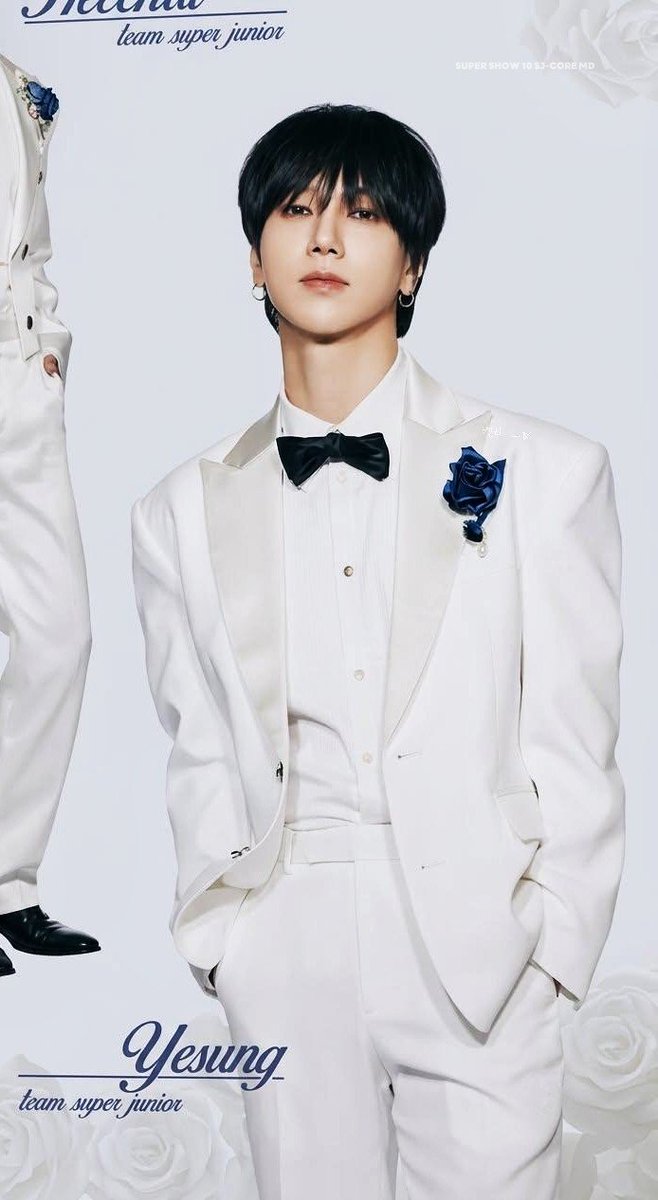 hiyesung1106's tweet photo. SUPER SHOW 10 SJ-CORE MD
MINI BROCHURE SET 

Scan &amp; Retouched.

#YESUNG #예성 @shfly3424 https://t.co/hcav3zsuCe