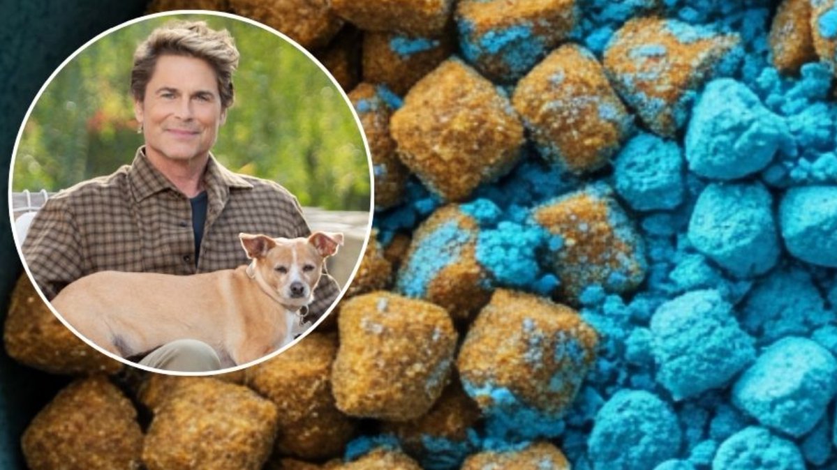 ultpetnutrition's tweet photo. If Your Senior Dog Isn’t Playing Like They Used To, Watch This 🐾

Rob Lowe shares the vet-backed truth about why many senior dogs slow down — and the simple daily soft chew that helped his own dogs get their playful energy back. Free video inside.