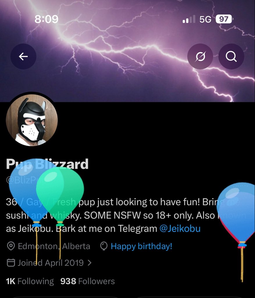 BlizPup's tweet photo. Another year. More balloons. https://t.co/qyIX2kapex