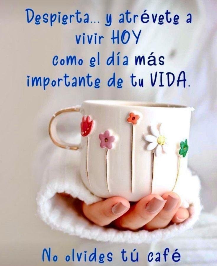 BERNA_GOMEZ's tweet photo. @MariMarichelar Buen día Mari😘 https://t.co/Dx0VZlkC92