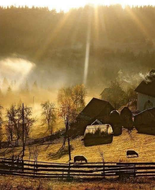 D11116698's tweet photo. Almighty God, use us through the power of the Holy Spirit, so that our lives may be filled with meaning and purpose! In Jesus' name we pray, Amen! Have a pleasant day... Remember... God is with you... Wishing you all the best! https://t.co/hkLrZ6sZna