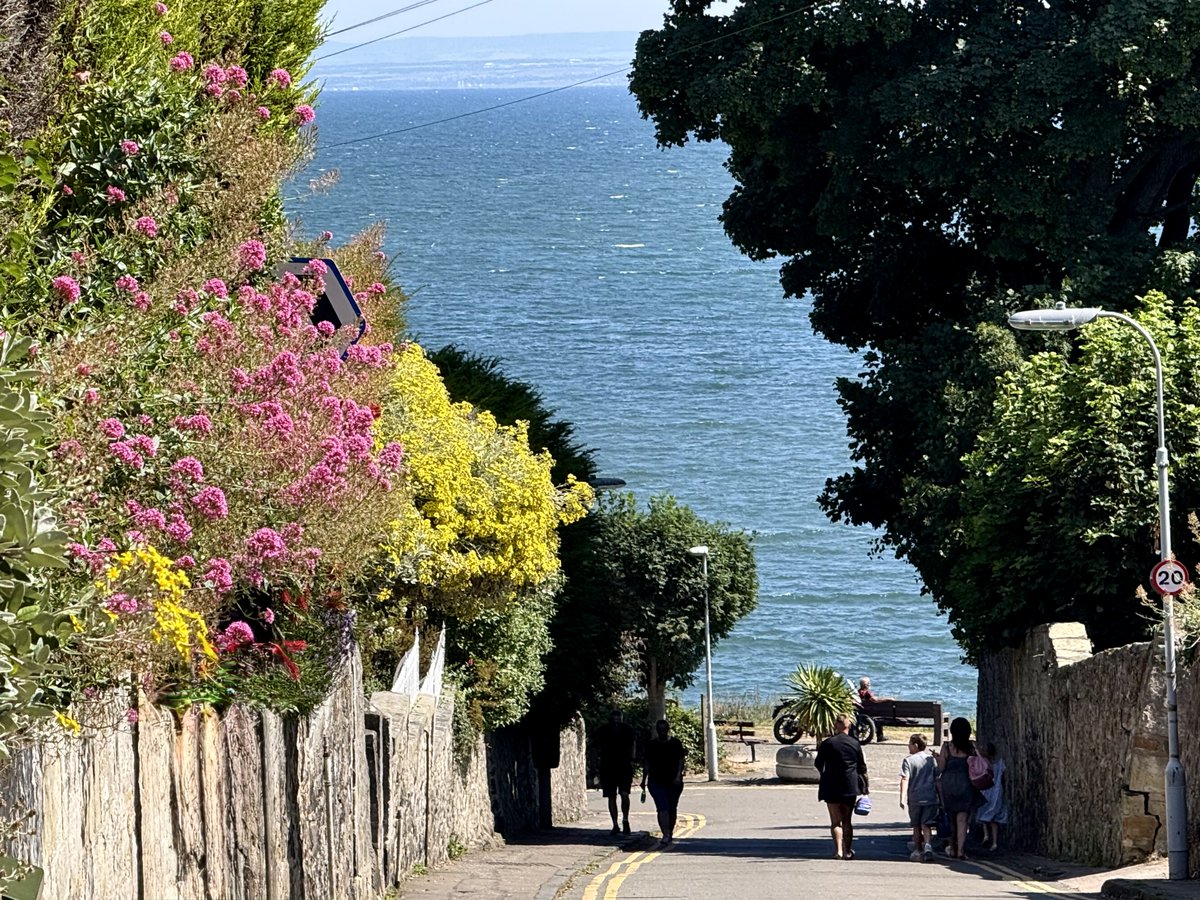 ElleBeePhotos's tweet photo. One of my favourite views of Aberdour is also one of the simplest - a quiet road, lined with brightly coloured flowers and trees, leading to the beach. As you walk down it, it fills you with anticipation of what’s to come! 🌊🌸🌼

#landscapephotography #Scotland #TuesdayBlue https://t.co/60xmwPPppf