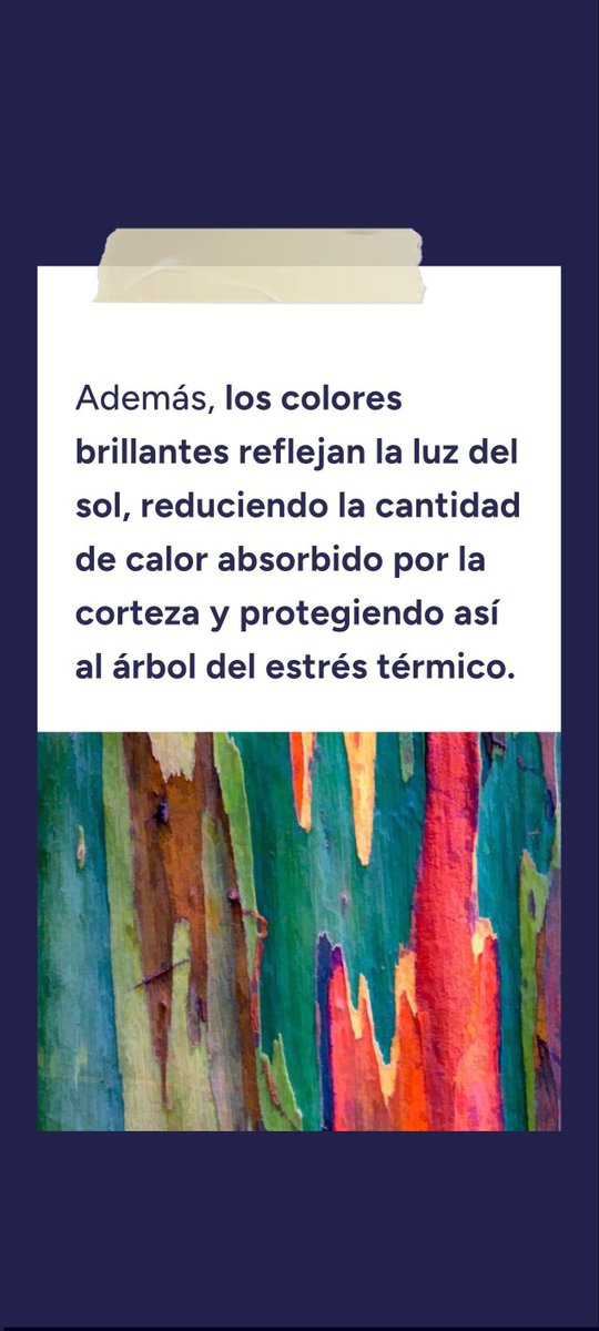 NedelkaSaa's tweet photo. Veca https://t.co/02ah0lxT0y