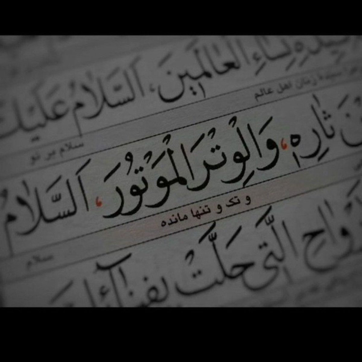 Mohe9mosaeb's tweet photo. تنها‌که‌شدی‌ ، ��دایش‌بزن . .
او‌حسین‌وتر‌الموتور‌است ؛
می‌داند‌تک‌و‌تنها‌شدن‌یعنی‌چه !
در‌آغوشت‌می‌گیرد❤️‍🩹:)'
#یالثارات -حسین https://t.co/TQId7gU2KP