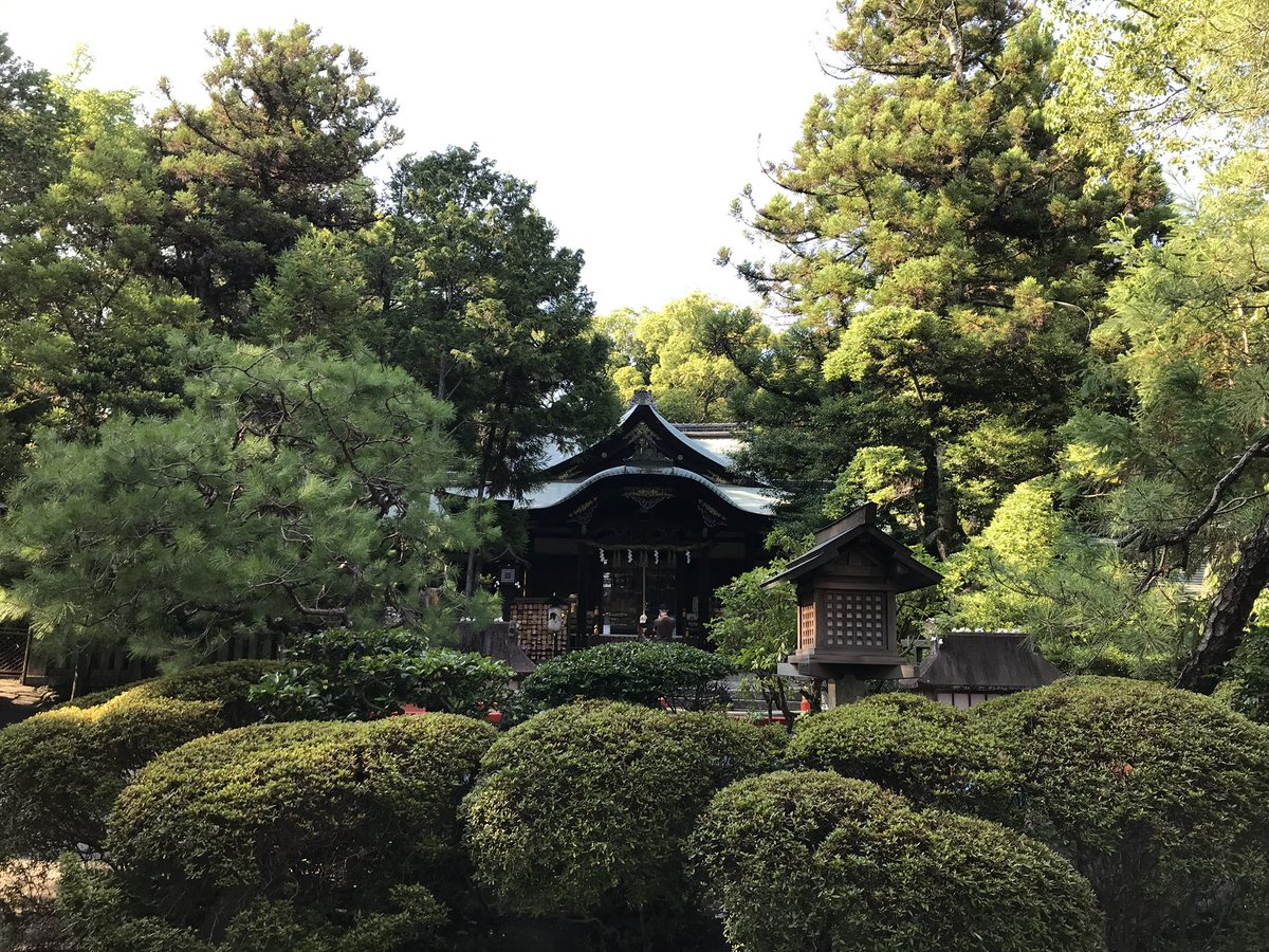 akari tweet media