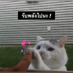 MrKillSeries's tweet photo. คุณสารวัตรทำได้อยู่แล้ว มาส่งกำลังใจให้พี่ภัทรกันคับทุกคน!!✌🏻

#MrKillSeriesEP3
@vitheepanich https://t.co/yrFp2D2a6L