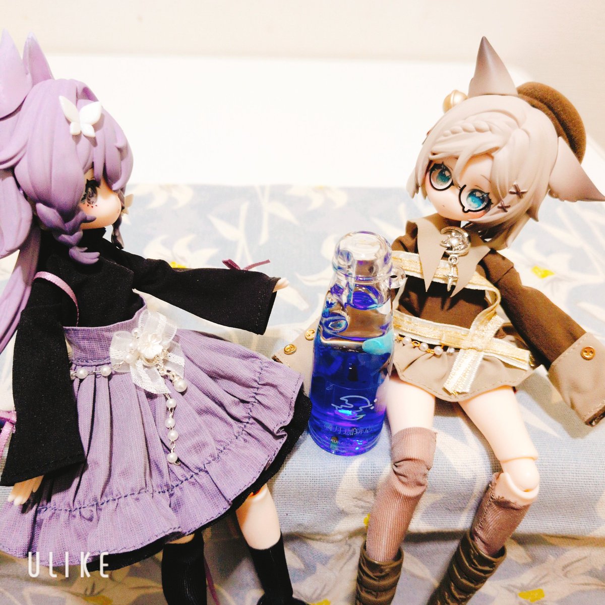 雫月🌙🪽しずき tweet media