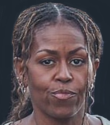 GioBruno1600's tweet photo. Michelle Obama is running out of things to be BITTER about. Any suggestions ? https://t.co/aHtvNT4K5X