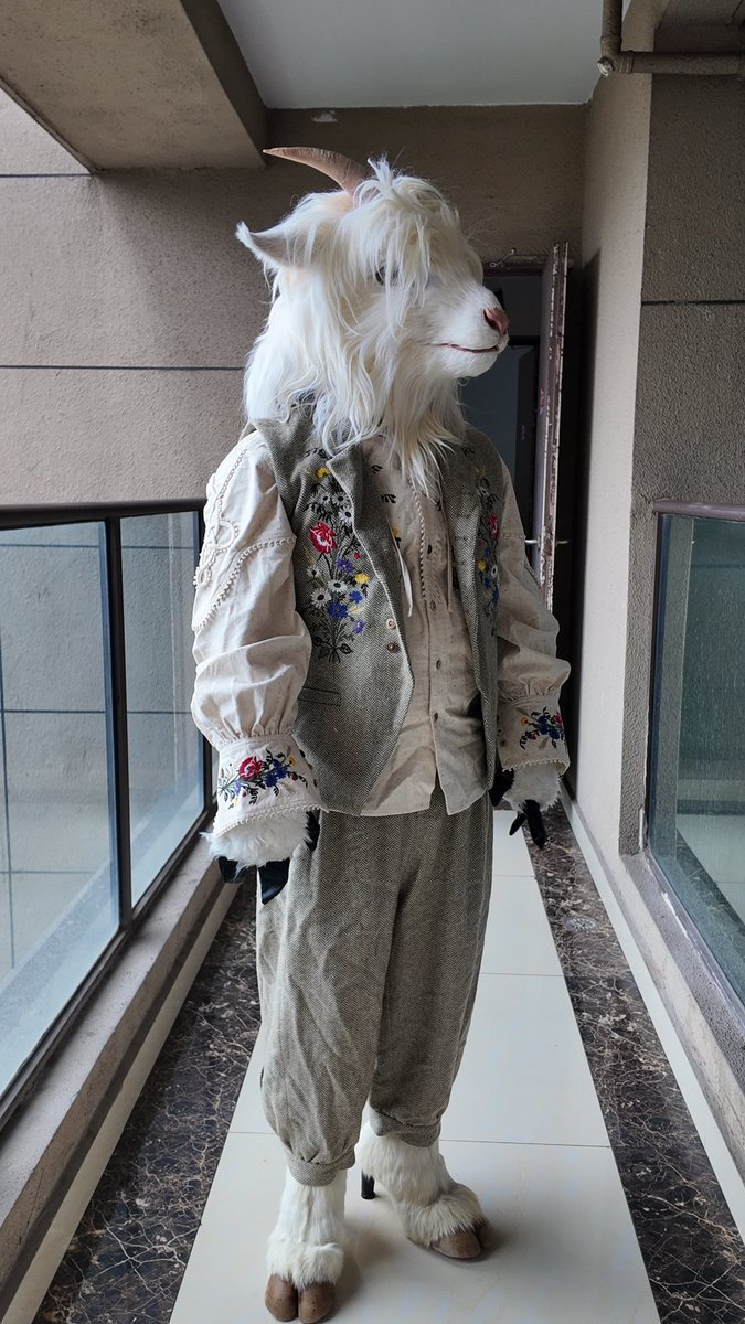 摩卡黑狗 tweet media