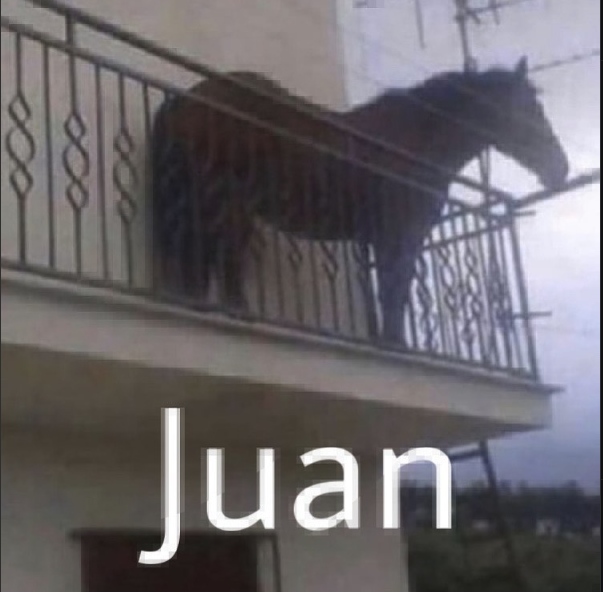 rockyparkerrr's tweet photo. You’re holding the most unbothered Horse.

$Juan

3e7hQA9QPv2rgQcGTHPigFBPXC5WoPXDLBxfTezEpump https://t.co/SjVka7uOjb