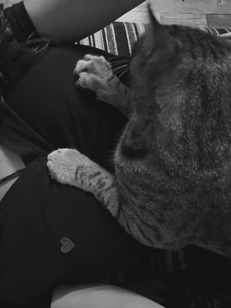 Hanjaeahh's tweet photo. Papa is sooo busy today 🥺
I will just play with Gureum before bed 😺

Gureum with Mama 🤍 https://t.co/V3PBDdWTJF