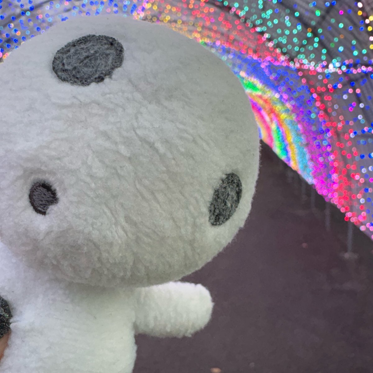 chi__so3's tweet photo. ←お迎えしたてこだま
連れ回されすぎてけばけばこだま→ https://t.co/ukWOZGb4m4