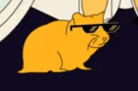 HOOdGoddev's tweet photo. Look what I found—a hamster! Let's send the Cash Hamster to the moon. https://t.co/s7q1Vg60ui