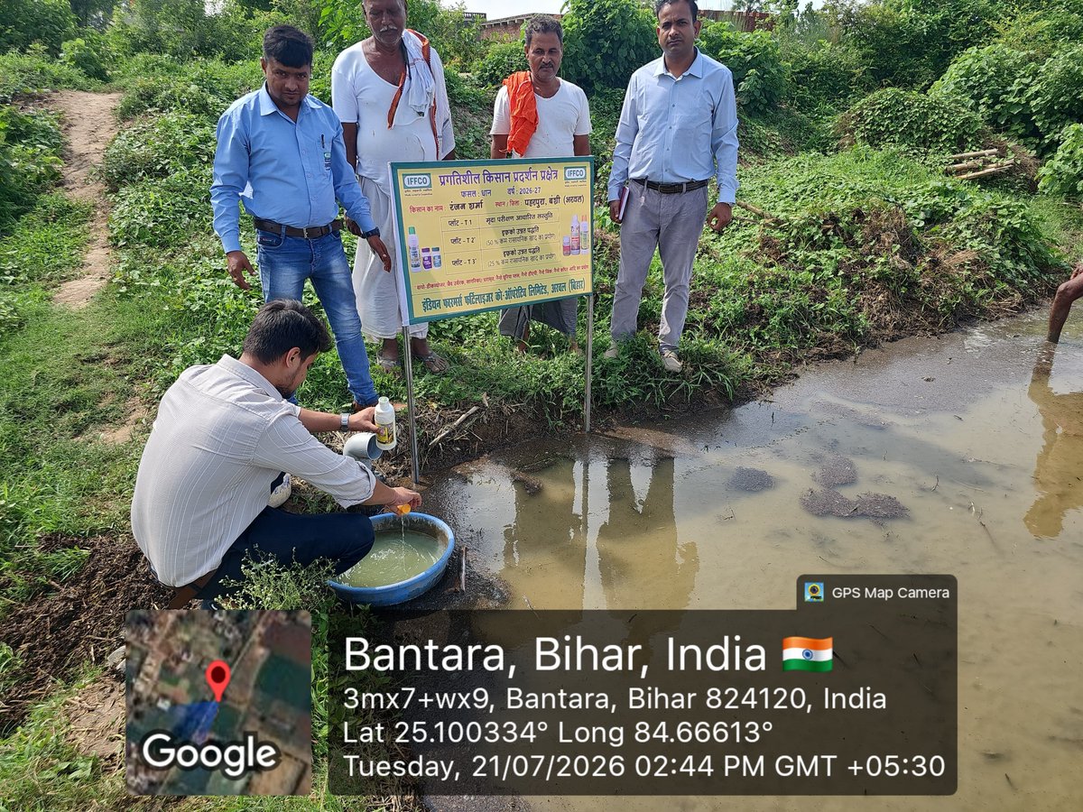 IFFCO_BR's tweet photo. आज दिनांक 21 जुलाई 2026 को ग्राम - पहाड़पुर, प्रखंड - बंसी, जिला- अरवल में प्रगतिशील किसान श्री रंजन शर्मा के खेत में धान की रोपाई का कार्य संपन्न किया गया।

इससे पहले दिनांक 25 जून 2026 को नैनो डीएपी एवं एनपीके कॉन्सोर्टिया द्वारा बीज उपचार कर धान की नर्सरी तैयार की गई थी। धान की रोपाई से पूर्व आज पुनः नैनो डीएपी से जड़ उपचार किया गया।

आगामी समय में प्रगतिशील किसान डेमो प्लॉट की मानक संचालन प्रक्रिया (SOP) के अनुसार सभी प्लॉटों में निर्धारित कार्यक्रम के तहत नैनो उत्पादों का उपयोग किया जाएगा।

प्लॉट संबंधी विवरण:

- किसान का नाम : श्री रंजन शर्मा
- ग्राम : पहाड़पुर
- प्रखंड : बंसी
- जिला : अरवल
- कुल क्षेत्रफल : 1 एकड़
- धान की किस्म : श्याम जीरा