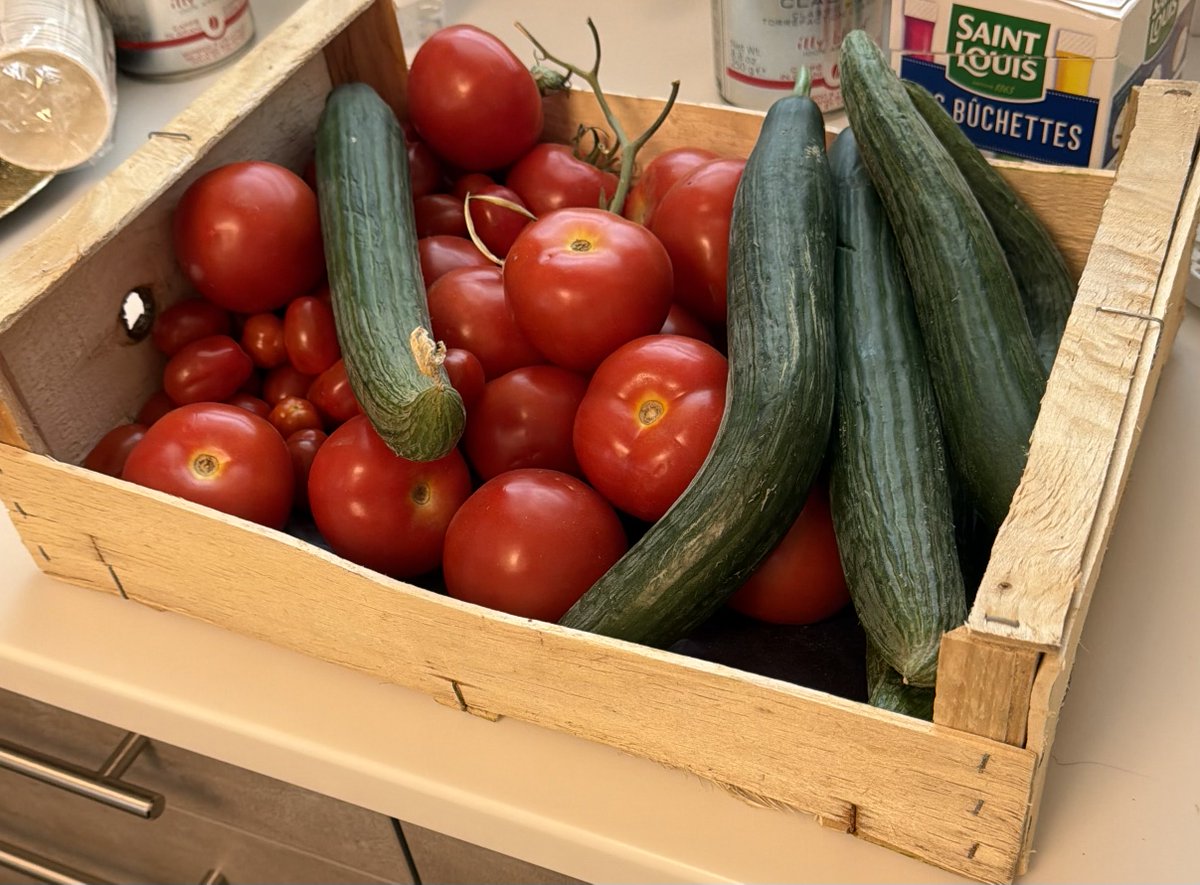 docfromMars's tweet photo. #Secteur12 https://t.co/Y8yTAABDRv
