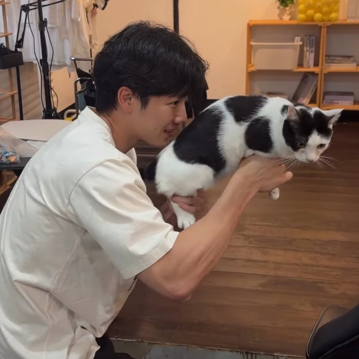 rncominjune's tweet photo. ตุวหนัยน้องเม่อ ตุวนี้ปะ ลายเหมือนกันเด๊ะ! 5555555555555

#warwanarat @warwanarat 
#sammerbcollie https://t.co/C5OITYlHe8