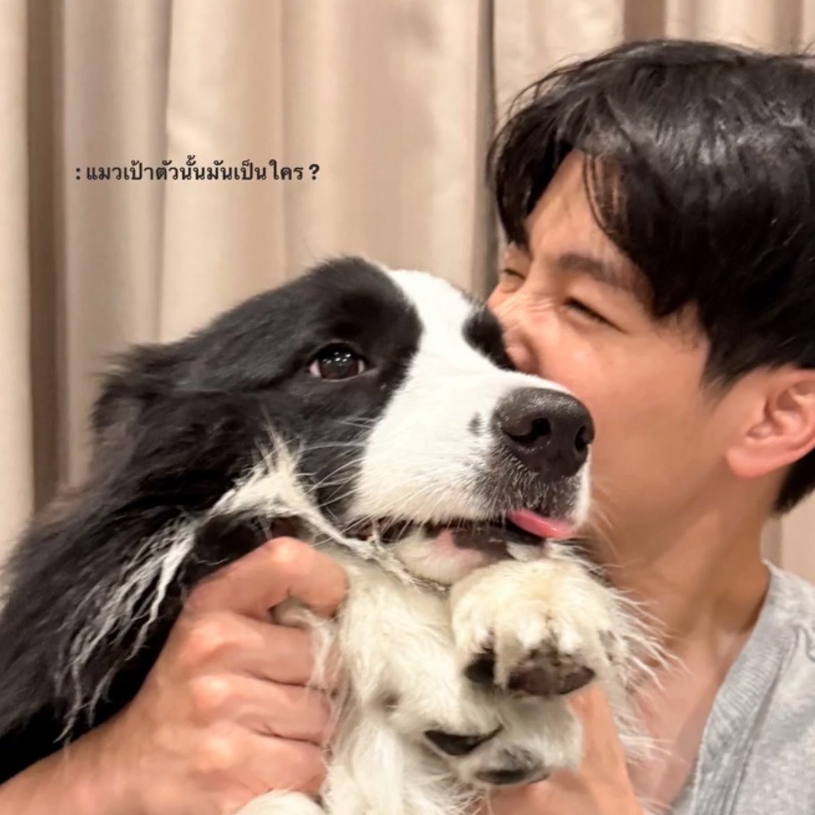rncominjune's tweet photo. ตุวหนัยน้องเม่อ ตุวนี้ปะ ลายเหมือนกันเด๊ะ! 5555555555555

#warwanarat @warwanarat 
#sammerbcollie https://t.co/C5OITYlHe8