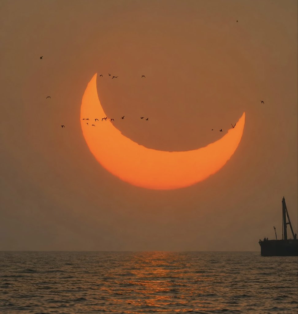 sereinvibee's tweet photo. Sunset magic on the horizon 🧡 https://t.co/RlGiwyalOP