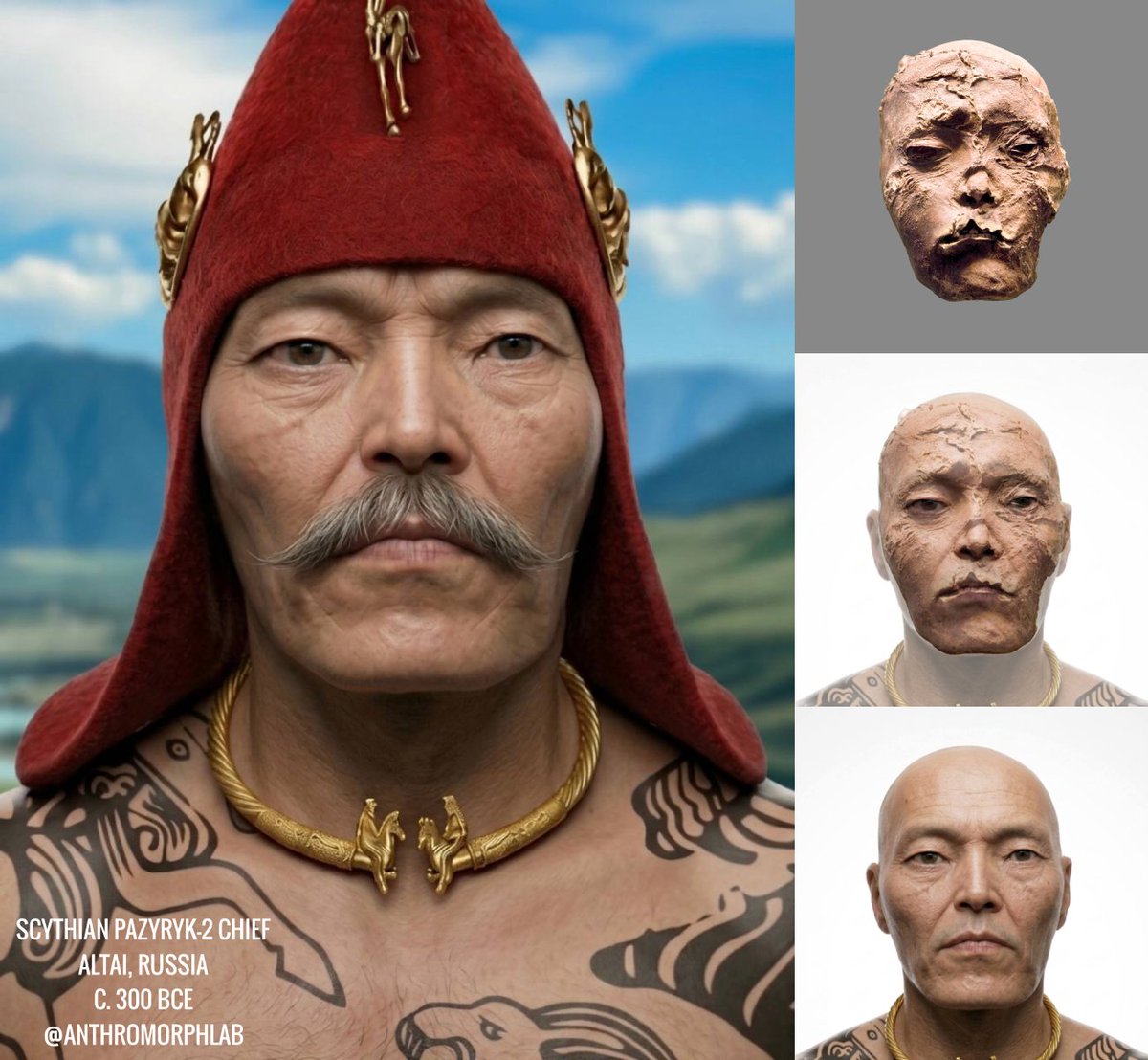 AnthromorphLab tweet media